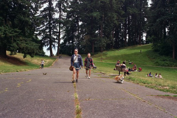 PDX, Geneva, Berlin [Kodak Pro 100]